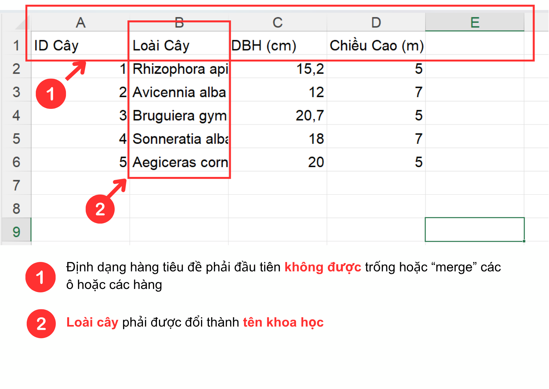Image illustrating CSV file format instructions