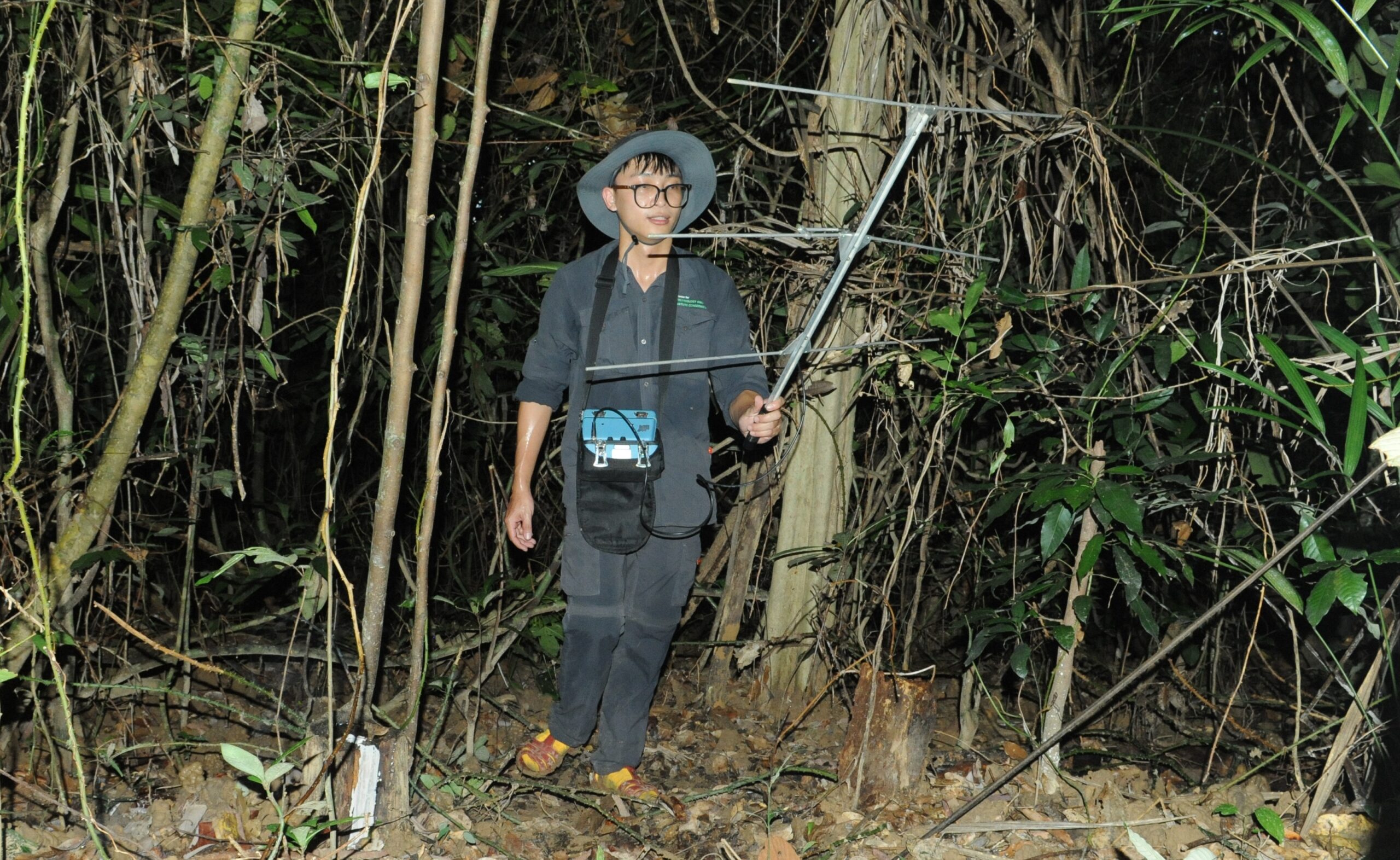 Cán bộ CTNC áp dụng công nghệ Radio-tracking trong công tác điều tra loài rùa hộp trán vàng miền Nam.