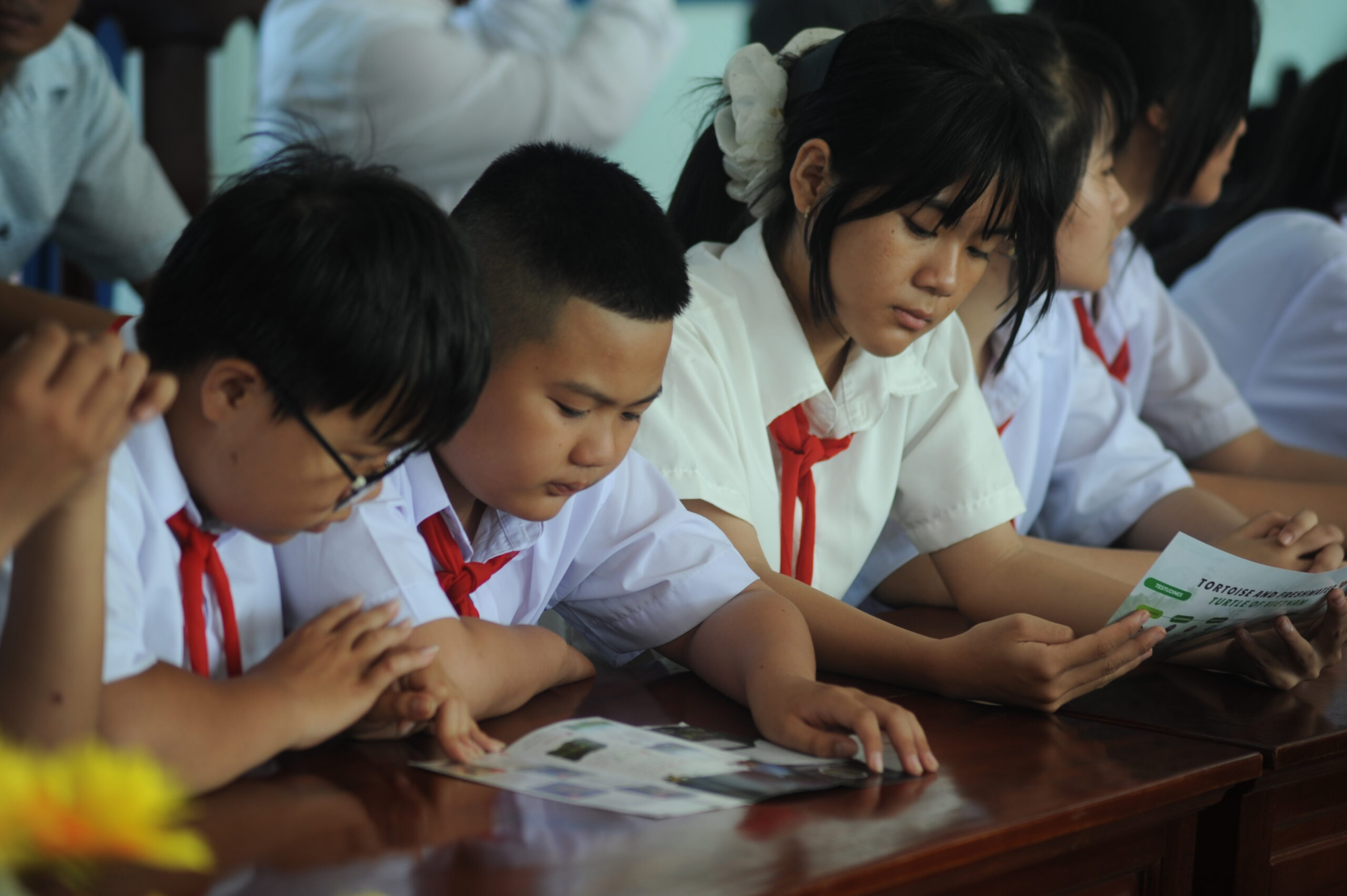 Community-Based Solutions